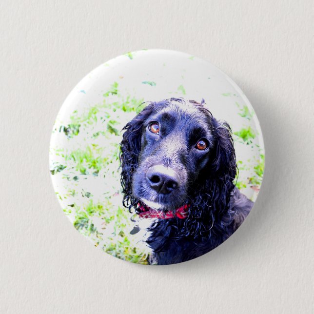 Macaron Rond 5 Cm Cocker Spaniel (Devant)
