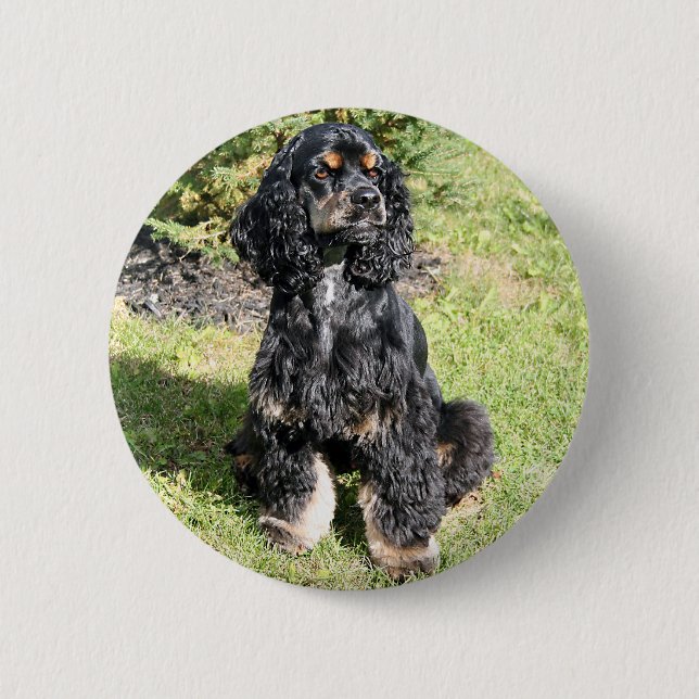 Macaron Rond 5 Cm Cocker Spaniel Photo (Devant)