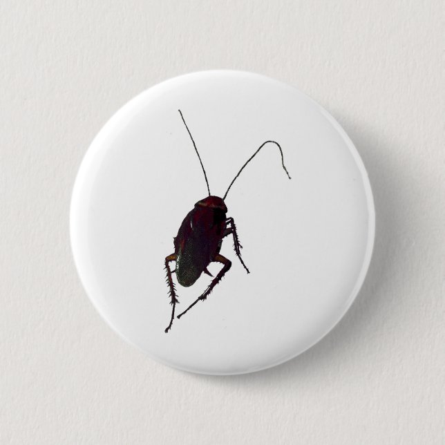 Macaron Rond 5 Cm Cockroach croquant (Devant)