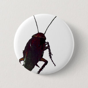 Macaron Rond 5 Cm Cockroach croquant
