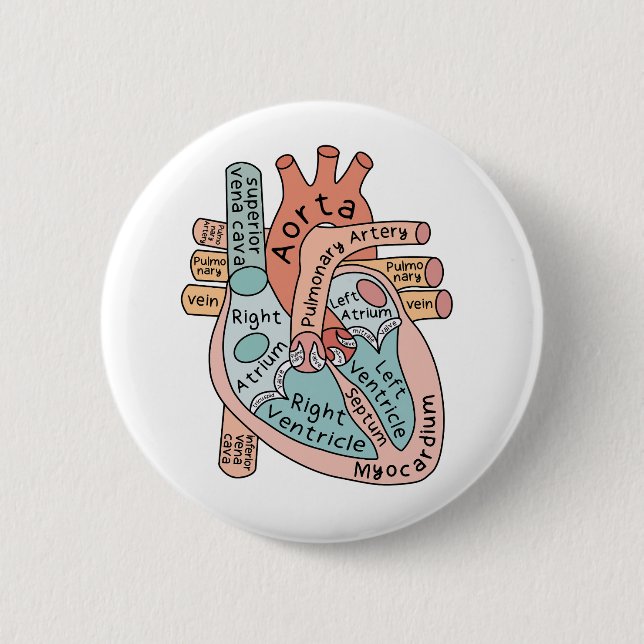 Macaron Rond 5 Cm Coeur anatomique, soins infirmiers cardiaques (Devant)