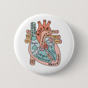 Macaron Rond 5 Cm Coeur anatomique, soins infirmiers cardiaques