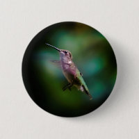 Colibri à gorge rubis - Photo originale