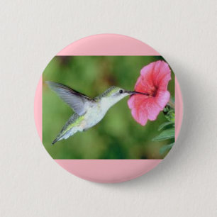 Macaron Rond 5 Cm Colibri sur un bouton rond