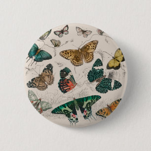 Macaron Rond 5 Cm collection de papillons antique art aquarelle papi