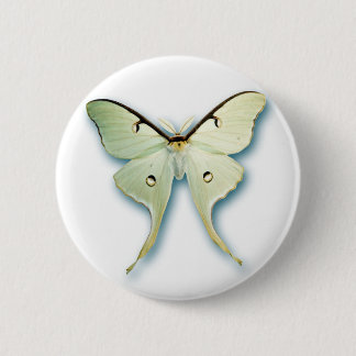 Macaron Rond 5 Cm Conception assez blanche de papillon