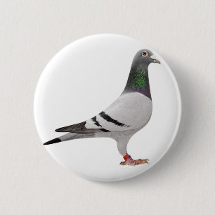 Macaron Rond 5 Cm conception de pigeon