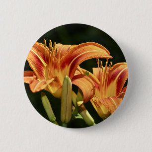 Macaron Rond 5 Cm Considérons Les Lilies Du Terrain