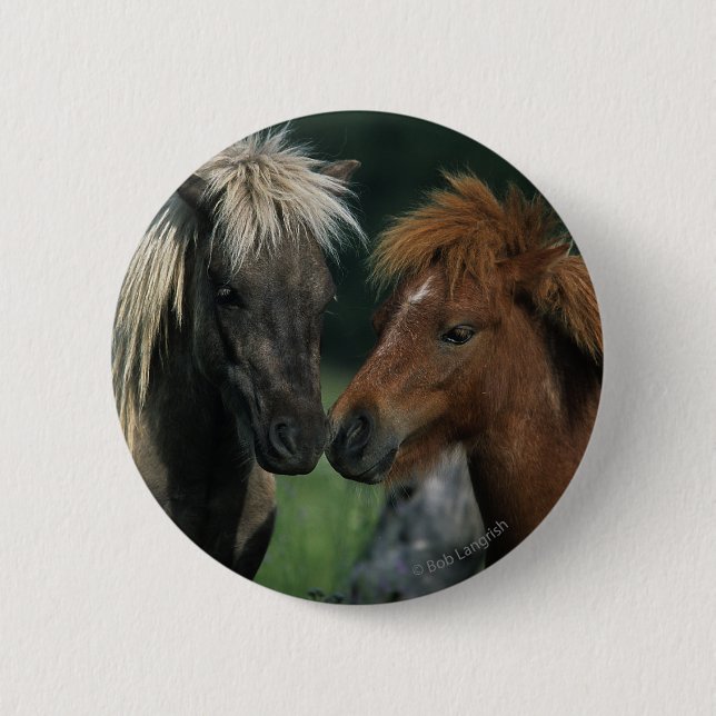 Macaron Rond 5 Cm Contact miniature de chevaux (Devant)
