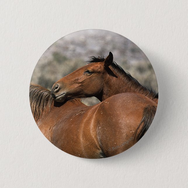Macaron Rond 5 Cm Contact sauvage de chevaux de mustang (Devant)