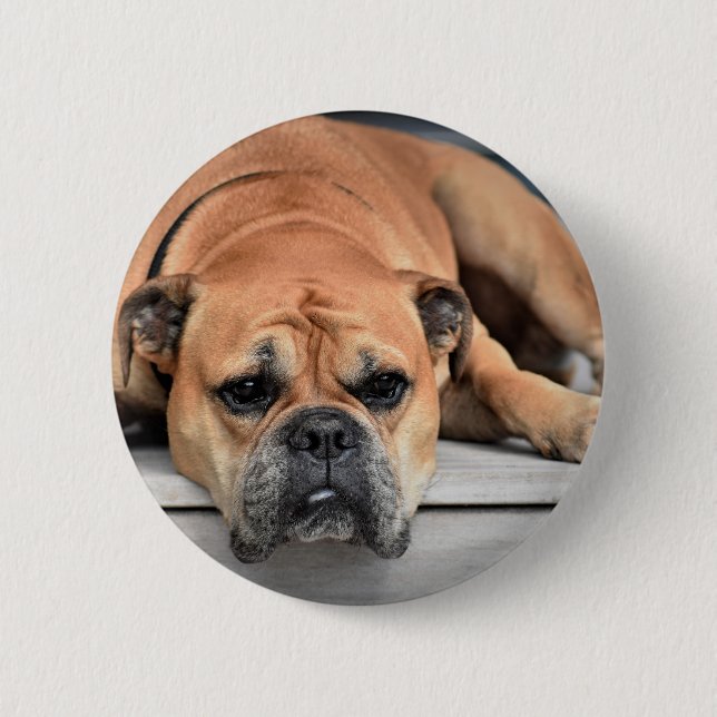 Macaron Rond 5 Cm Continental Bulldog personnalisable (Devant)