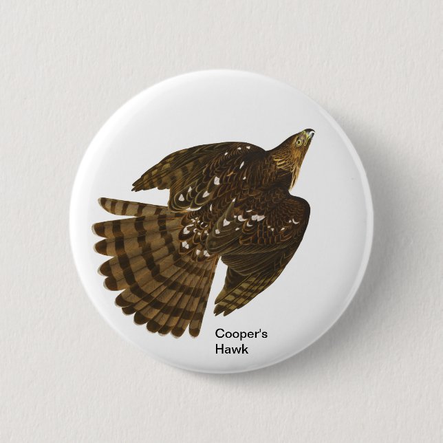 Macaron Rond 5 Cm Cooper's Hawk par John James Audubon, Hawk Bird (Devant)
