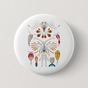 Macaron Rond 5 Cm Copepods