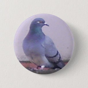 Macaron Rond 5 Cm Copie de pigeon