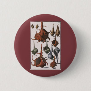 Macaron Rond 5 Cm Coquillages, Coquillages de mer vintage, Vie marin