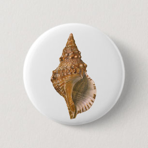 Macaron Rond 5 Cm Coquille de Triton vintage, animal marin de l'océa