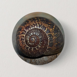 Macaron Rond 5 Cm Coquille d'escargot