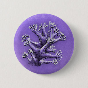 Macaron Rond 5 Cm Corail Reef Purple Marine Biologie Art