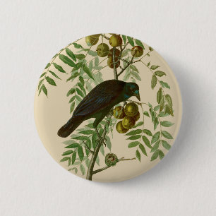 Macaron Rond 5 Cm Corbeau américain d'Audubon oiseau noir