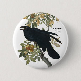 Macaron Rond 5 Cm Corbeau commun par Audubon, Corbeau noir, Oiseau