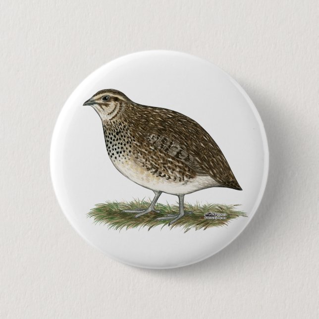 Macaron Rond 5 Cm Coturnix Quail (Devant)