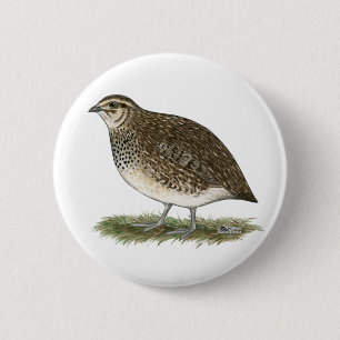 Macaron Rond 5 Cm Coturnix Quail