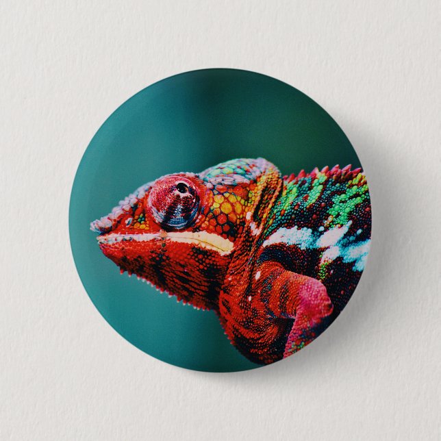 Macaron Rond 5 Cm Couleur Changement arc-en-ciel Chameleon Reptile (Devant)