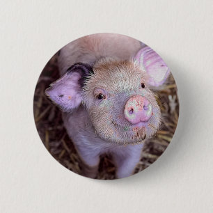 Macaron Rond 5 Cm Cozmico