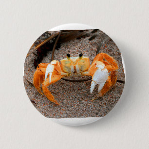 Macaron Rond 5 Cm Crabe de violoneur sur l'orange de Colorized de