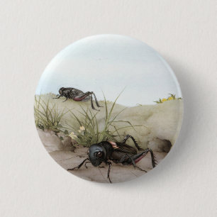 MACARON ROND 5 CM CRICKET DE THE FIELD