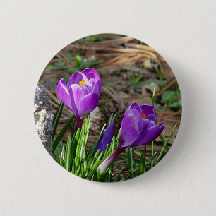 Macaron Rond 5 Cm Crocus dans le bouton de fleur