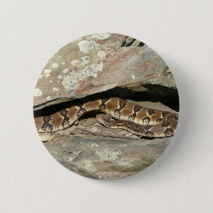 Macaron Rond 5 Cm Crotale à Shenandoah National Park