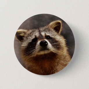 Macaron Rond 5 Cm Curieux Raccoon