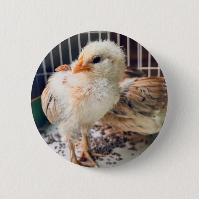 Macaron Rond 5 Cm Cute Baby Chick Round Button (Devant)