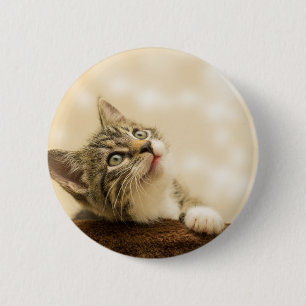 Macaron Rond 5 Cm Cute Kitten avec une paille étirée