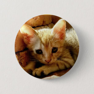 Macaron Rond 5 Cm Cute Little Kitten