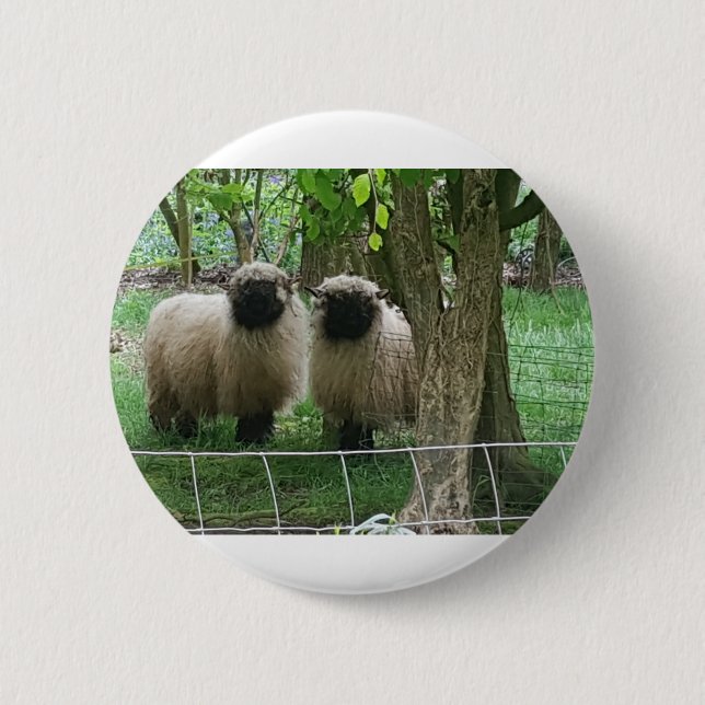 Macaron Rond 5 Cm Cute Sheep (Devant)