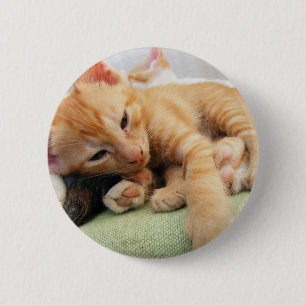 Macaron Rond 5 Cm Cute Tiger Stripe Kitten