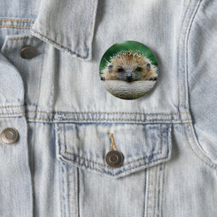 Macaron Rond 5 Cm Cutest Baby Animals   Hedgehog Smile