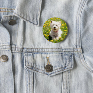Macaron Rond 5 Cm Cutest Baby Animals   Westie Dog in Dandelions