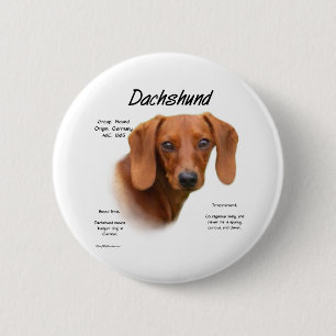 Macaron Rond 5 Cm Dachshund lisse rencontre la race - Bouton