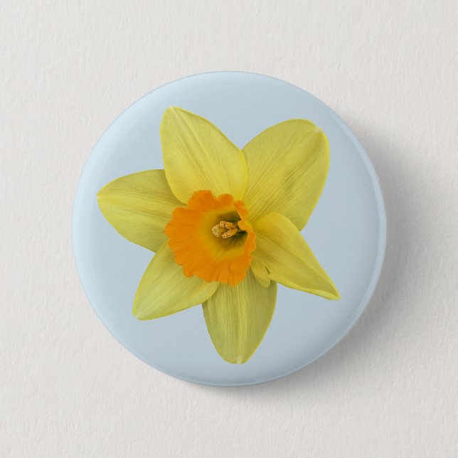 Macaron Rond 5 Cm Daffodique de printemps jaune sur bleu pâle (Devant)