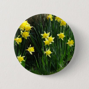 Macaron Rond 5 Cm Daffodiques de printemps