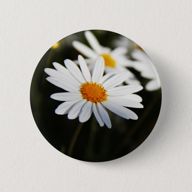Macaron Rond 5 Cm Daisy (Devant)