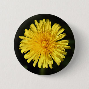 Macaron Rond 5 Cm Dandelion
