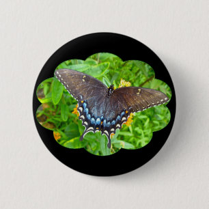 Macaron Rond 5 Cm Dark Phase Tiger Swallowtail Butterfly Items