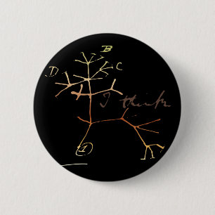 Macaron Rond 5 Cm Darwin, je pense l'arbre à la vie