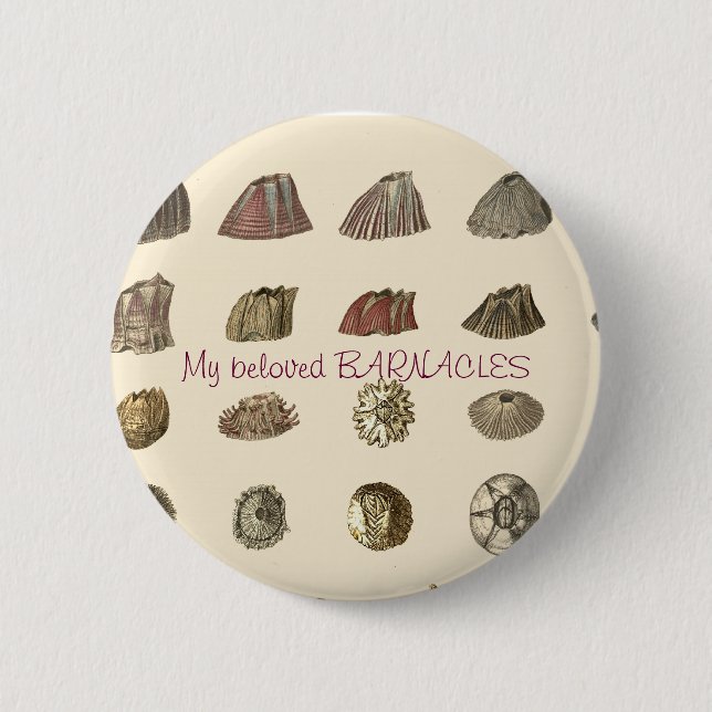 Macaron Rond 5 Cm darwin-monographie-barnacles, Mes BARNACLES bien-a (Devant)