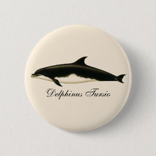 Macaron Rond 5 Cm Dauphins vintage Delphinus Tursio, mammifères mari