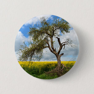 Macaron Rond 5 Cm Der alte Baum
